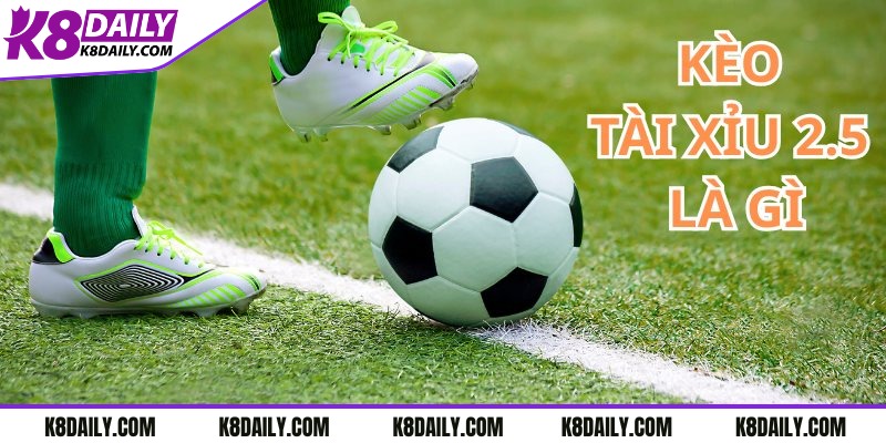 Tìm hiểu kèo tài xỉu 2.5 là gì