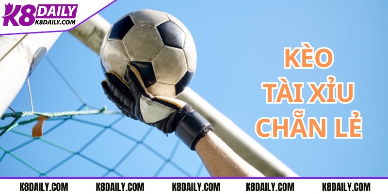 Lý do nên lựa chọn K8 để chơi kèo chẵn lẻ tài xỉu